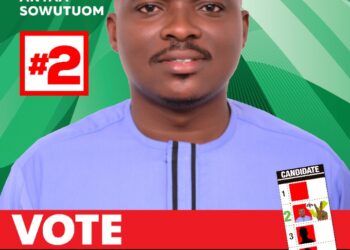 Anyaa/Sowutuom too hot for NPP, As NDC PC gives them sleepless night