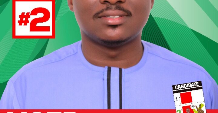 Anyaa/Sowutuom too hot for NPP, As NDC PC gives them sleepless night