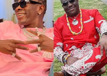 Wizzy Adablah Condemns Comments Against Shatta Wale