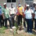 Ada West NCCE Participates In Green Ghana Tree Planting Exercise