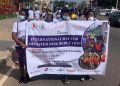 NADMO-LaDMA Creates Awareness Through Float In La Township