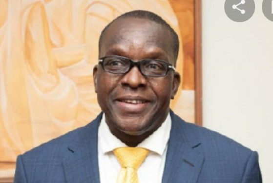 AKO GUNN Writes:  THE WAY BAGBIN IS ACTING, NANA AND BAWUMIA SHOULD NEVER DREAM OF TRAVELLING OUTSIDE THE COUNTRY TOGETHER