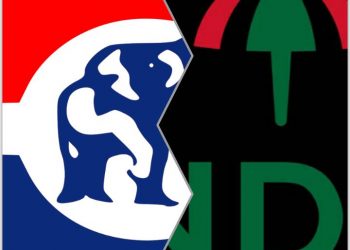 GODWIN AKO GUNN WRITES: THIS YEAR, MANY PEOPLE WILL APPRECIATE THAT, NDC AND NPP AREN’T THE SAME