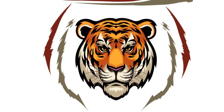 HIGH COURT EXPOSES ENVYNESS OF FIEVIE OVER SOGA ROYAL STOOL