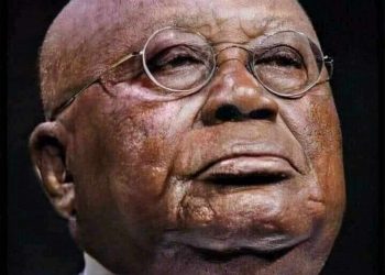 US Dr. Appiah Writes: Nana Akufo-Addo was not built a Leader