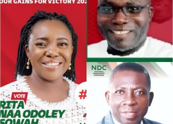 La Dade-Kotopon Primaries Likened to Elephant & 2 Billy Goats