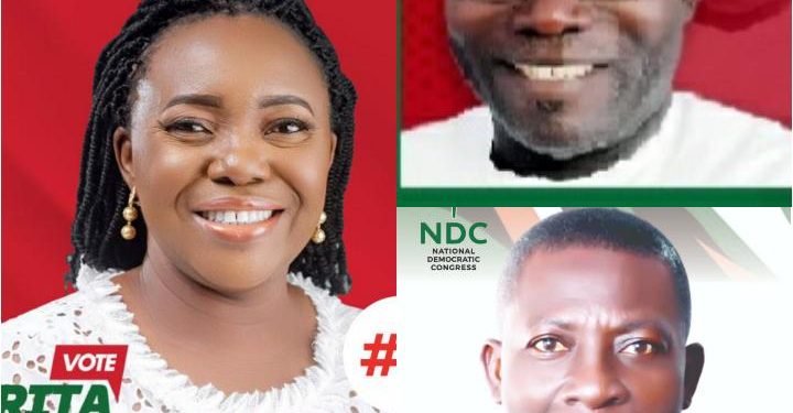 La Dade-Kotopon Primaries Likened to Elephant & 2 Billy Goats