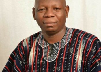 ELECTORAL FRAUD DETECTION AND MITIGATION TASK FORCE – Nationaltymes