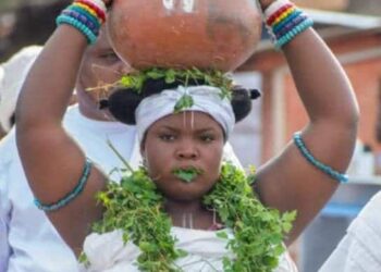 OUR KPLE IS NOT FETISH… – Krowor