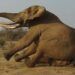 Arrogance, Greed, Insubordination, Corruption – Fall of the Perceived “Gigantic Elephant” (NPP)