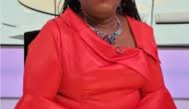 Nana Oye Bampoe Addo Appointed as Deputy Chief of Staff (Adm.)