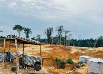 Galamsey Crackdown: 47 Arrested, Heavy Equipment Seized in Major Police Raid on Samreboi Forests and Tano River