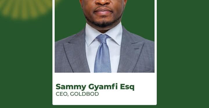 Ghana Gold Board Declares War on Gold Smuggling, Unveils Vision for Sustainable Mining and Gold Traceability