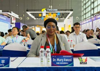 Dr. Awusi Promotes Ghana’s Free Zones at High-Level China-Africa Trade Matchmaking Event