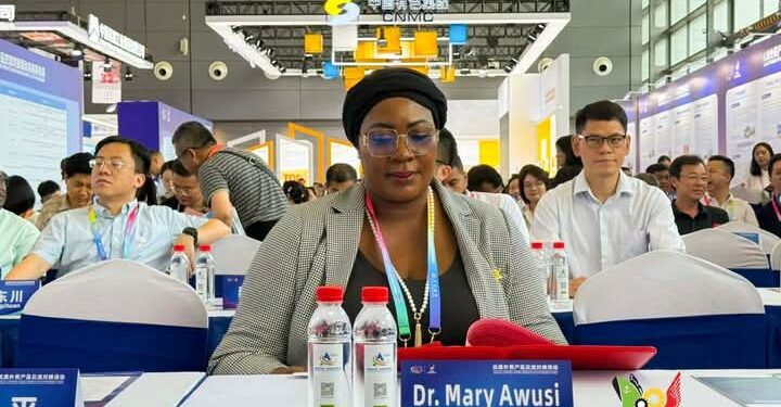 Dr. Awusi Promotes Ghana’s Free Zones at High-Level China-Africa Trade Matchmaking Event