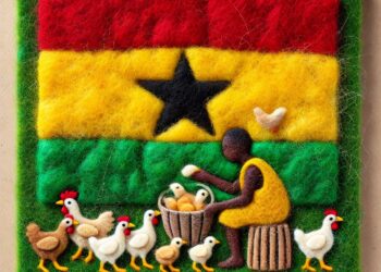 “Akoko Nkitinkiti in Crisis”: Poultry Farmers Cry Foul Over ‘Political Hijack’ of Mahama’s Flagship Policy