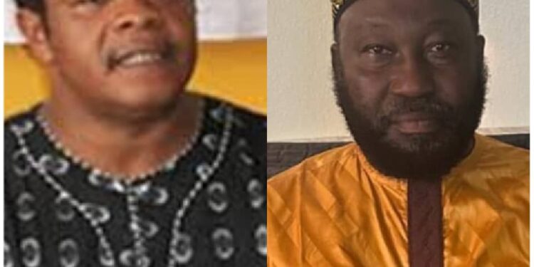 US-Based Zango Leader Hails Goosie Tanoh’s Appointment as 24-Hour Economy Presidential Advisor