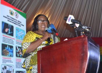 Deputy Local Gov’t Minister Urges Assemblies to Prioritize Long-Term Urban Planning