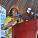 Deputy Local Gov’t Minister Urges Assemblies to Prioritize Long-Term Urban Planning
