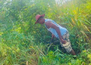 Sogakofe South Clean-Up Drive Enters Week 2 with Community Support and Donations