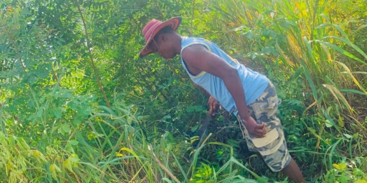 Sogakofe South Clean-Up Drive Enters Week 2 with Community Support and Donations