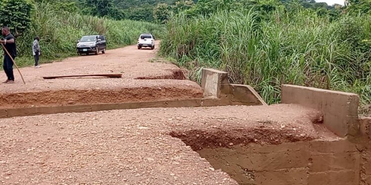 Bontibor Residents Call for Urgent Government Action After Bridge Collapse