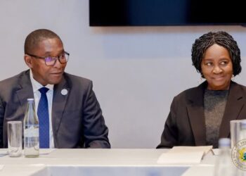 Veep Engages UN Climate Adviser on Just Transition in Addis Ababa