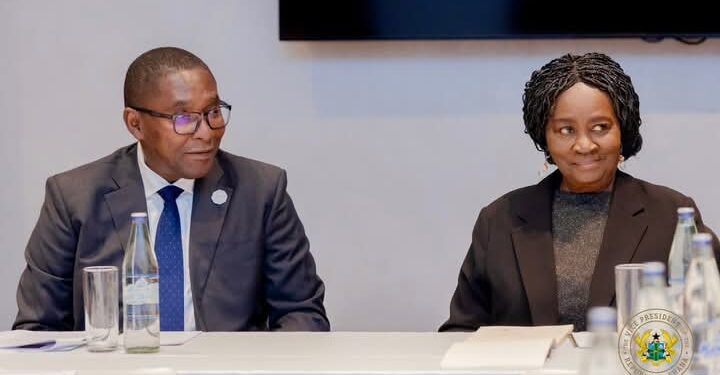 Veep Engages UN Climate Adviser on Just Transition in Addis Ababa