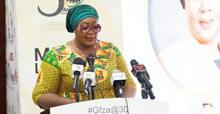 GFZA Launches 30th Anniversary, Highlight Exports and Investment Drive