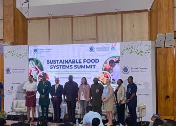 UN Resident Coordinator Calls for Bold Action Ahead of 2025 Sustainable Food Systems Summit