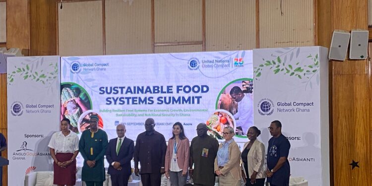 UN Resident Coordinator Calls for Bold Action Ahead of 2025 Sustainable Food Systems Summit