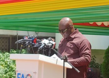 Agric Minister Urges Ghanaians to Embrace Backyard Farming on World Food Day