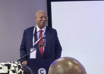 Africa Must Act Now to Close Infrastructure Gap — Alabi Tells G20 Forum