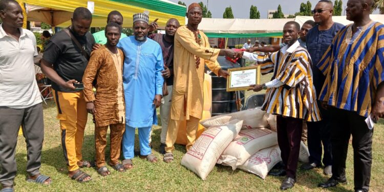 Ayawaso Central Honours Farmers as MCE Pushes for Food Self-Sufficiency
