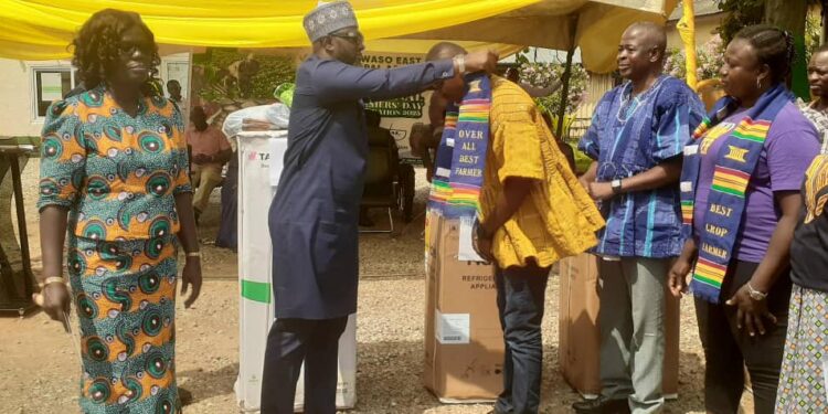Ayawaso East Boosts Urban Farming