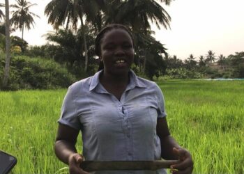 Journalist Mispa Darko Urges Media Practitioners to Embrace Farming