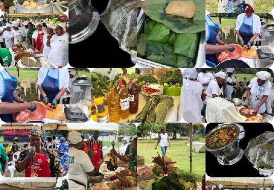 Boosting Sch. Meals: Greater Accra Promotes Nkoko Nkitinkiti for Healthier Pupils