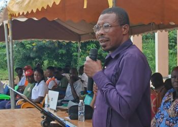 NPP Must Be Blamed For Surge In Drug Trafficking Cases In Ghana – Oti NDC Communication Hopeful