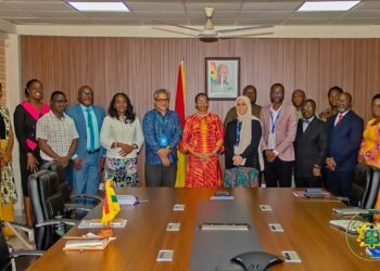 Zanetor Engages Diplomatic And Development Partners On MEST Priorities
