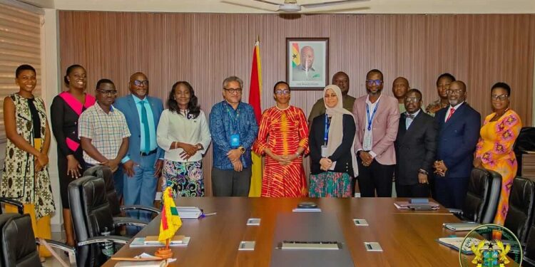 Zanetor Engages Diplomatic And Development Partners On MEST Priorities