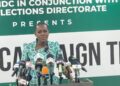 Elections Are Won Before Voting Day – Dzifa Tegah Vows To Make NDC Election-Ready For 2028